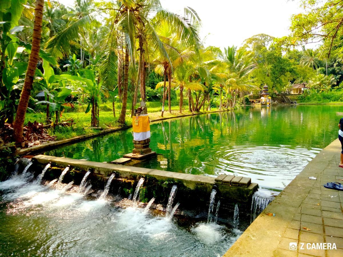 Amara Giri I Villa Ubud  Exterior photo